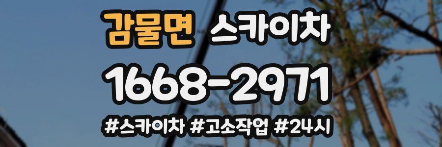 감물면 스카이차