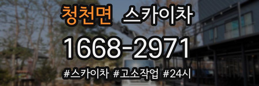 청천면 스카이차