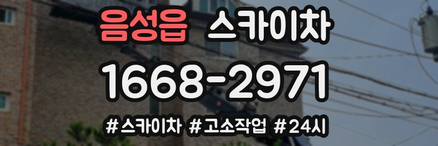 음성읍 스카이차