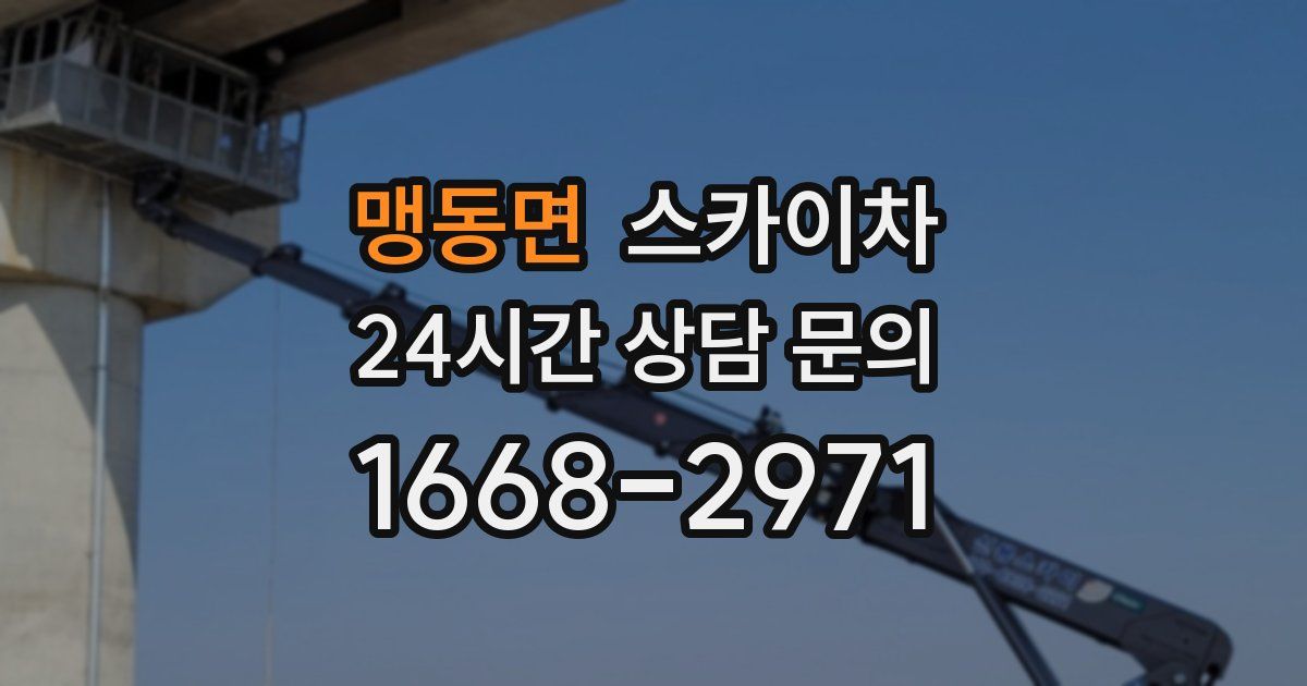 맹동면 스카이차