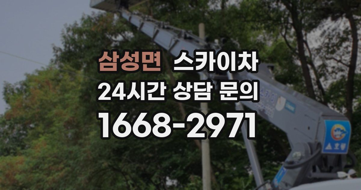 삼성면 스카이차
