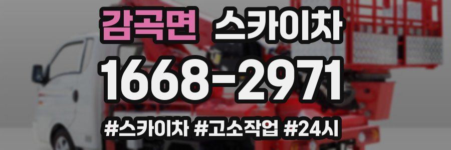 감곡면 스카이차