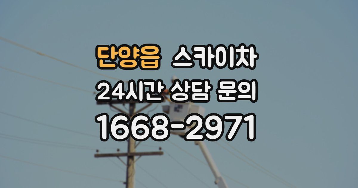 단양읍 스카이차