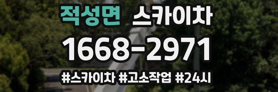 적성면 스카이차