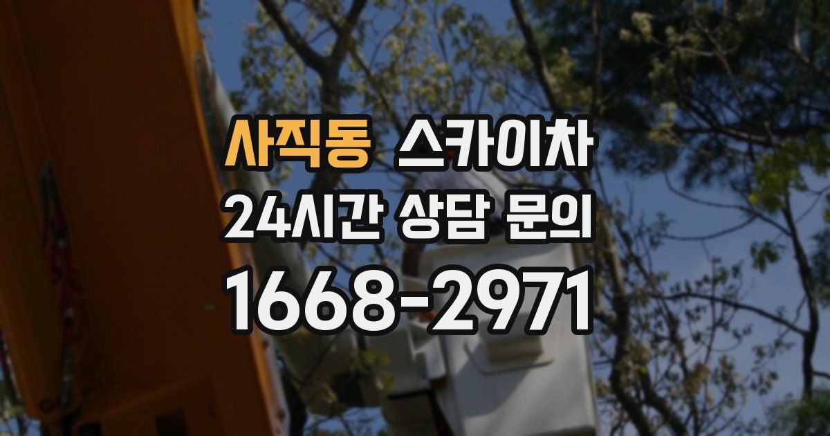 사직동 스카이차