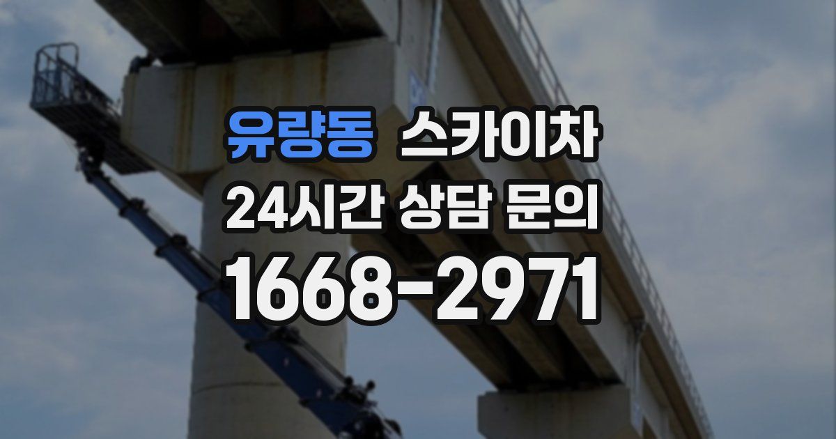 유량동 스카이차