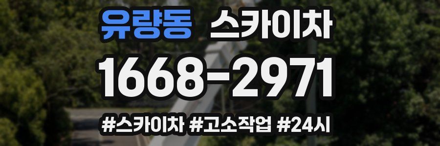 유량동 스카이차