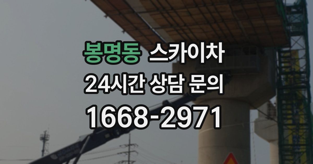 봉명동 스카이차