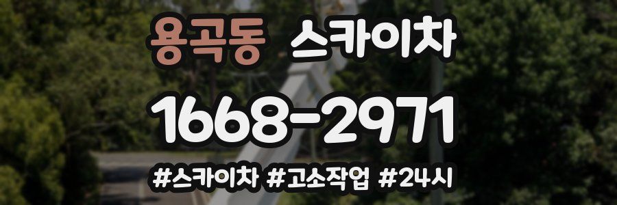 용곡동 스카이차