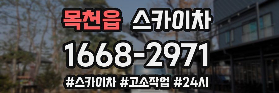 목천읍 스카이차