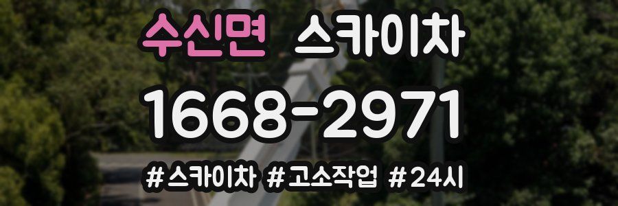 수신면 스카이차