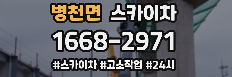 병천면 스카이차