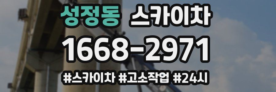 성정동 스카이차