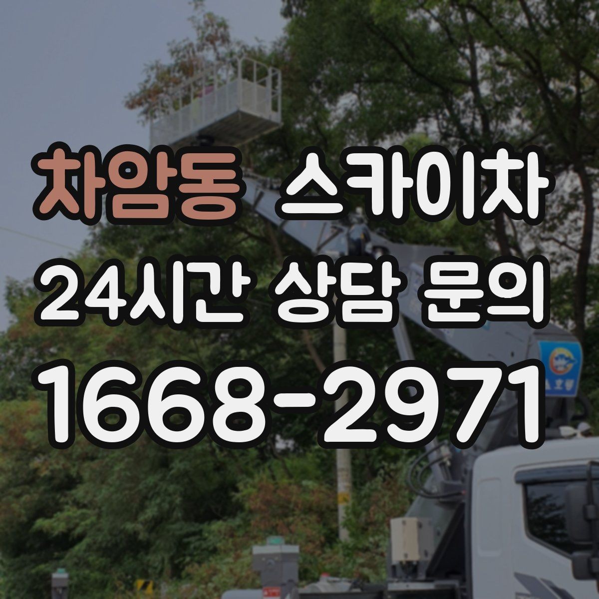 차암동 스카이차 보안등 교체가 높은 곳일 때 해결