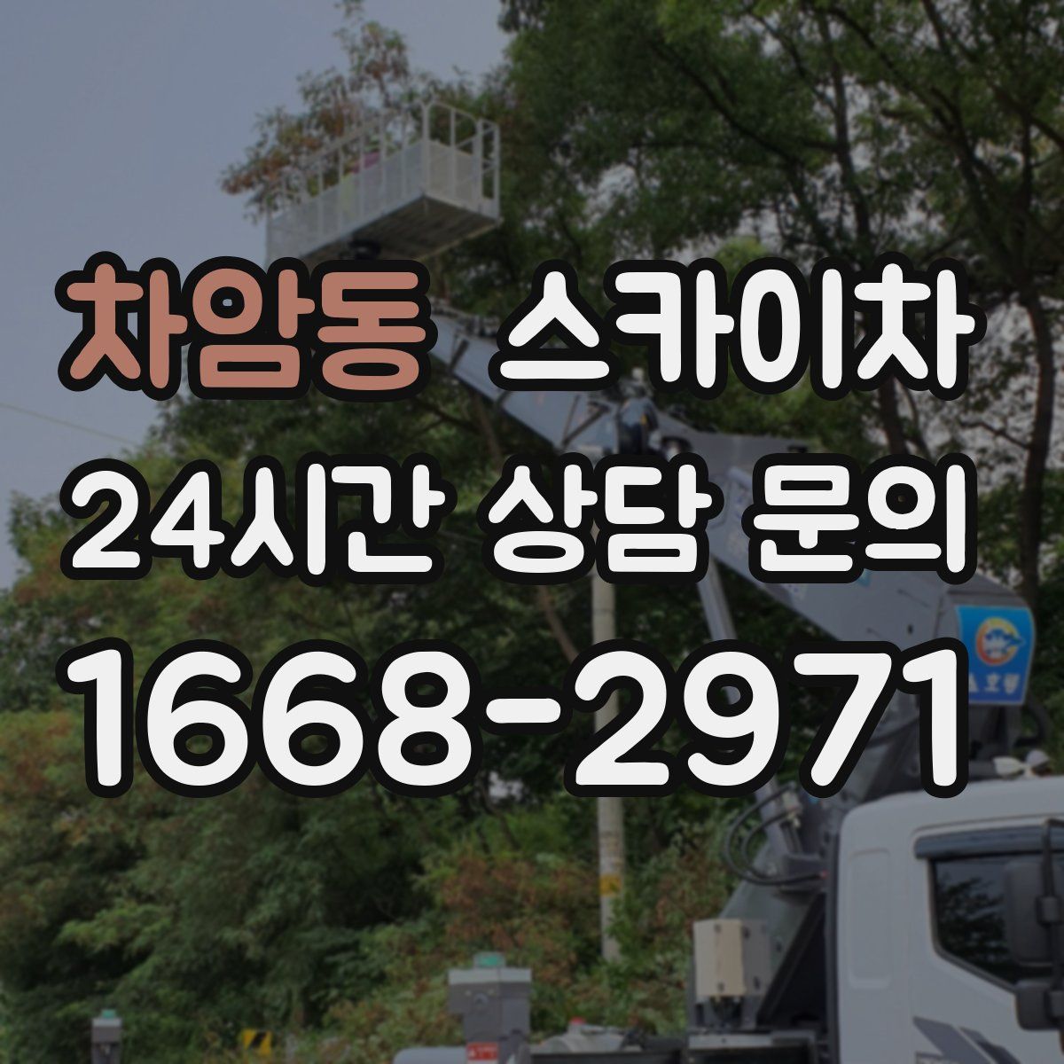 차암동 스카이차