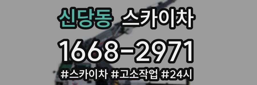 신당동 스카이차