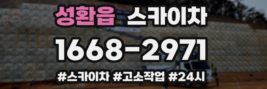 성환읍 스카이차