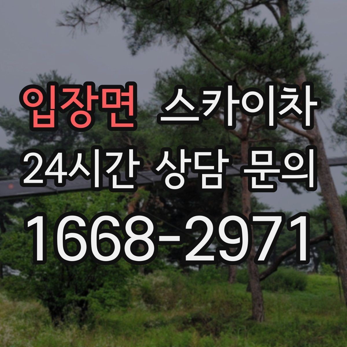 입장면 스카이차 CCTV 설치를 고소에서 진행할 때