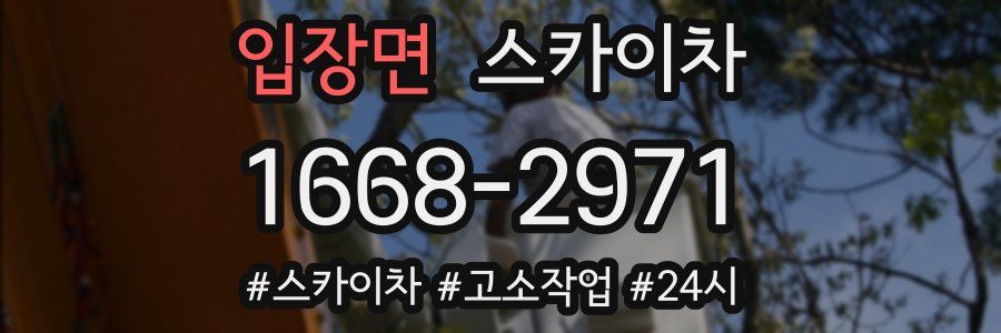 입장면 스카이차