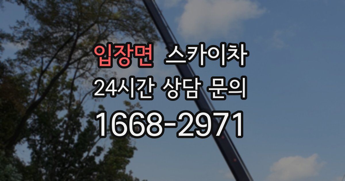 입장면 스카이차