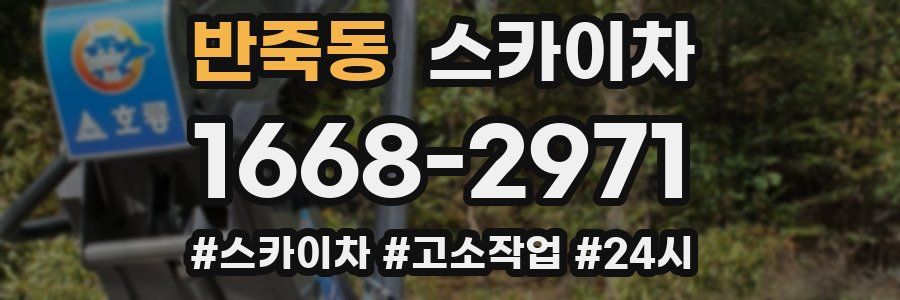 반죽동 스카이차