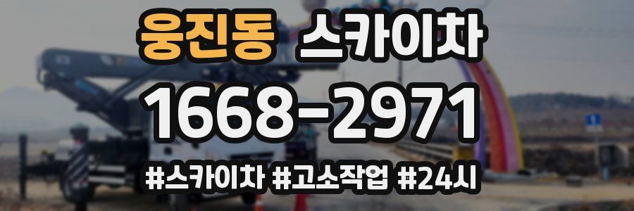 웅진동 스카이차