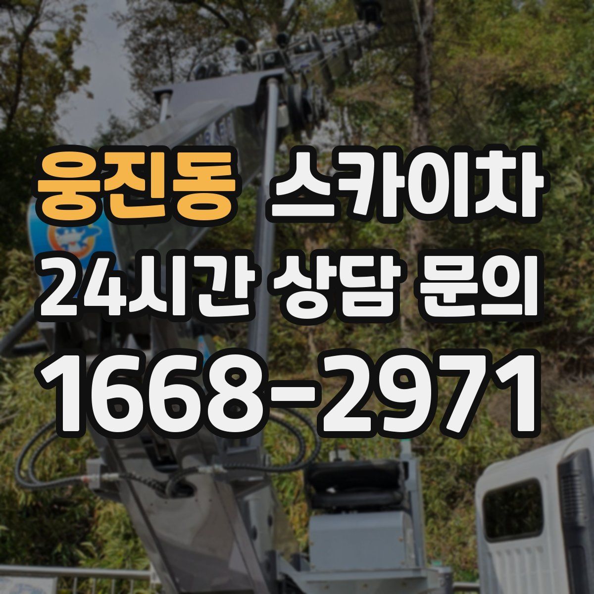 웅진동 스카이차