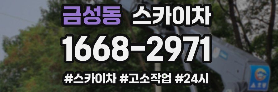 금성동 스카이차