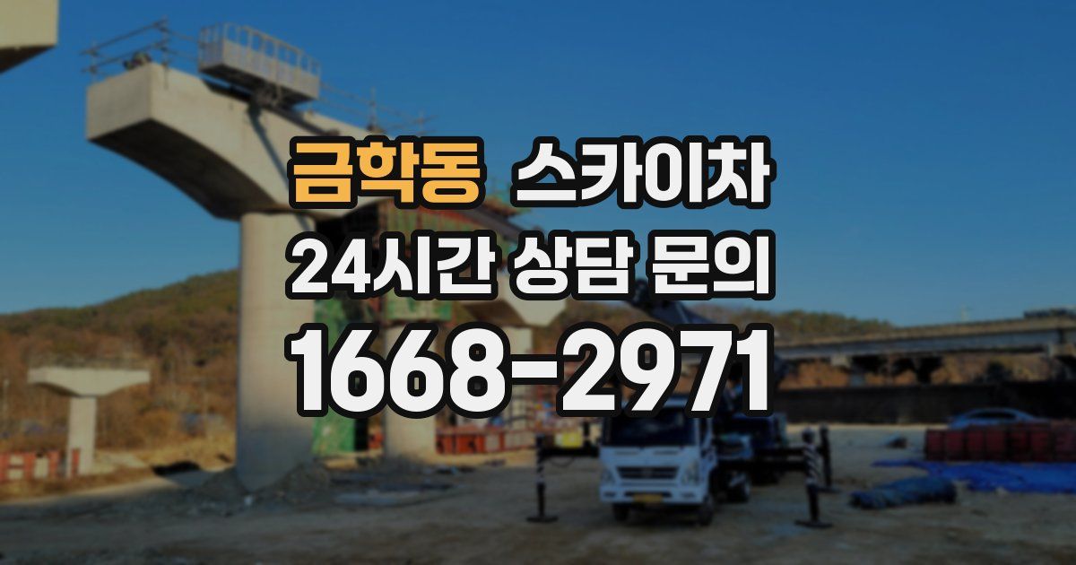 금학동 스카이차