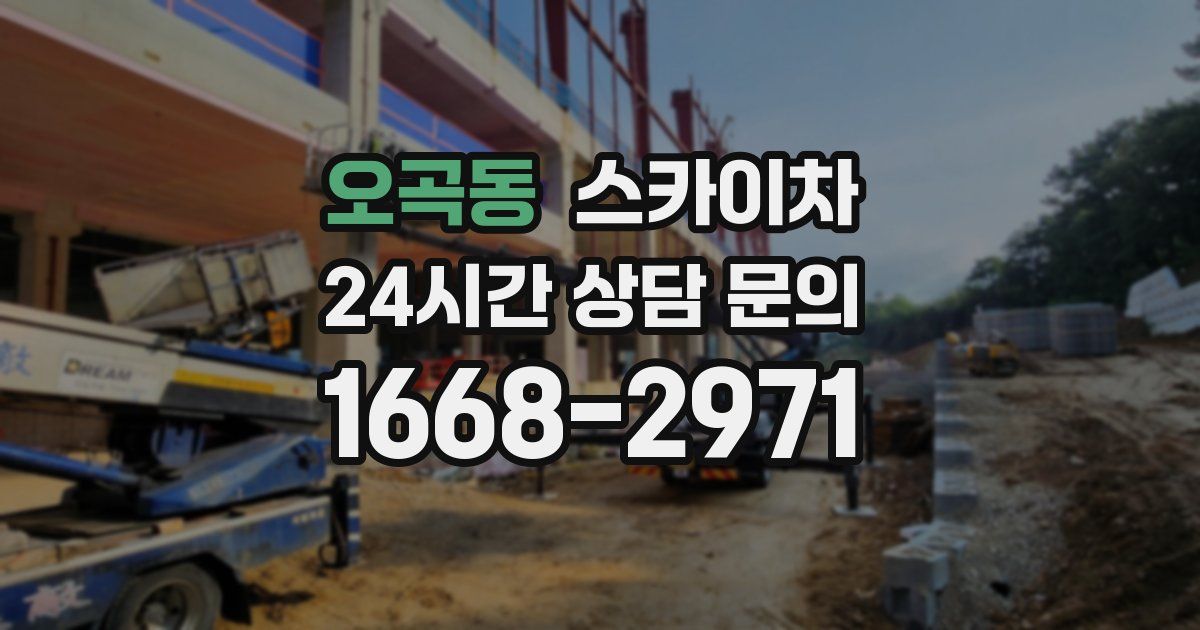 오곡동 스카이차