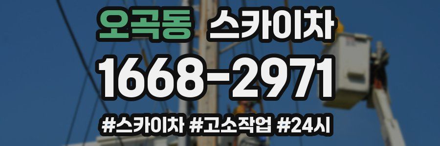 오곡동 스카이차