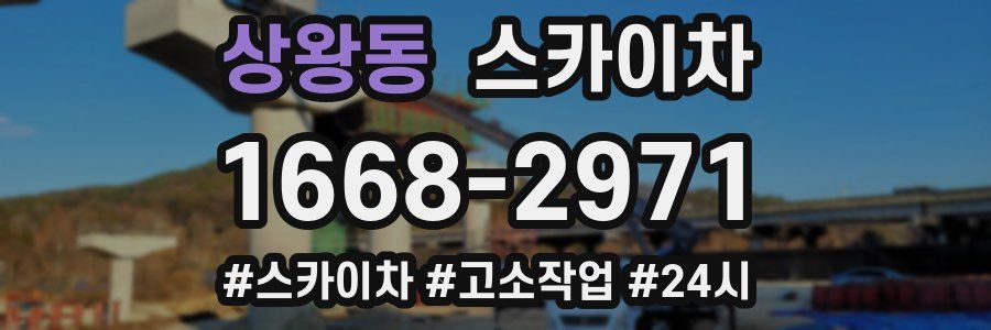 상왕동 스카이차