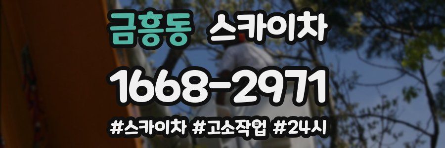 금흥동 스카이차