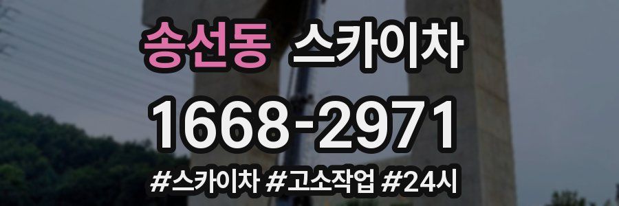 송선동 스카이차
