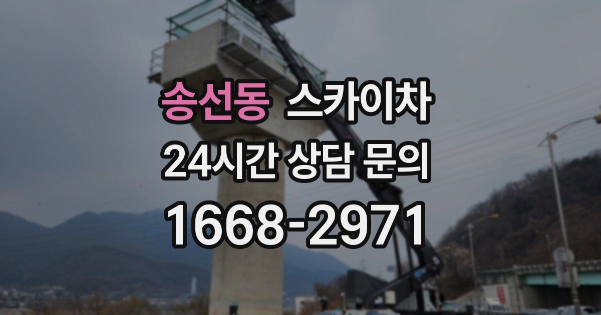 송선동 스카이차