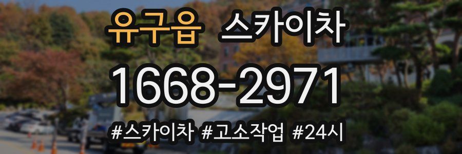 유구읍 스카이차