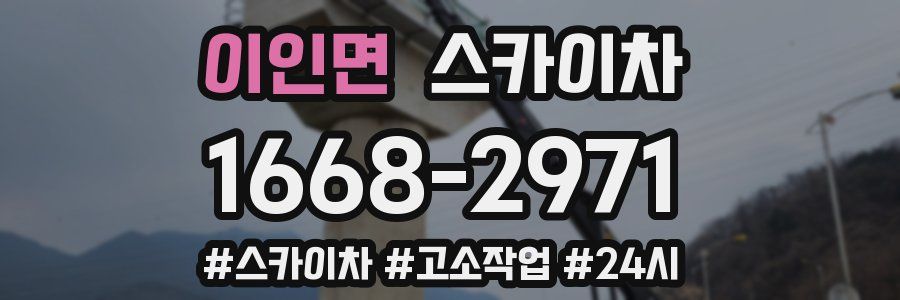 이인면 스카이차