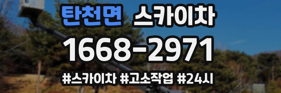 탄천면 스카이차