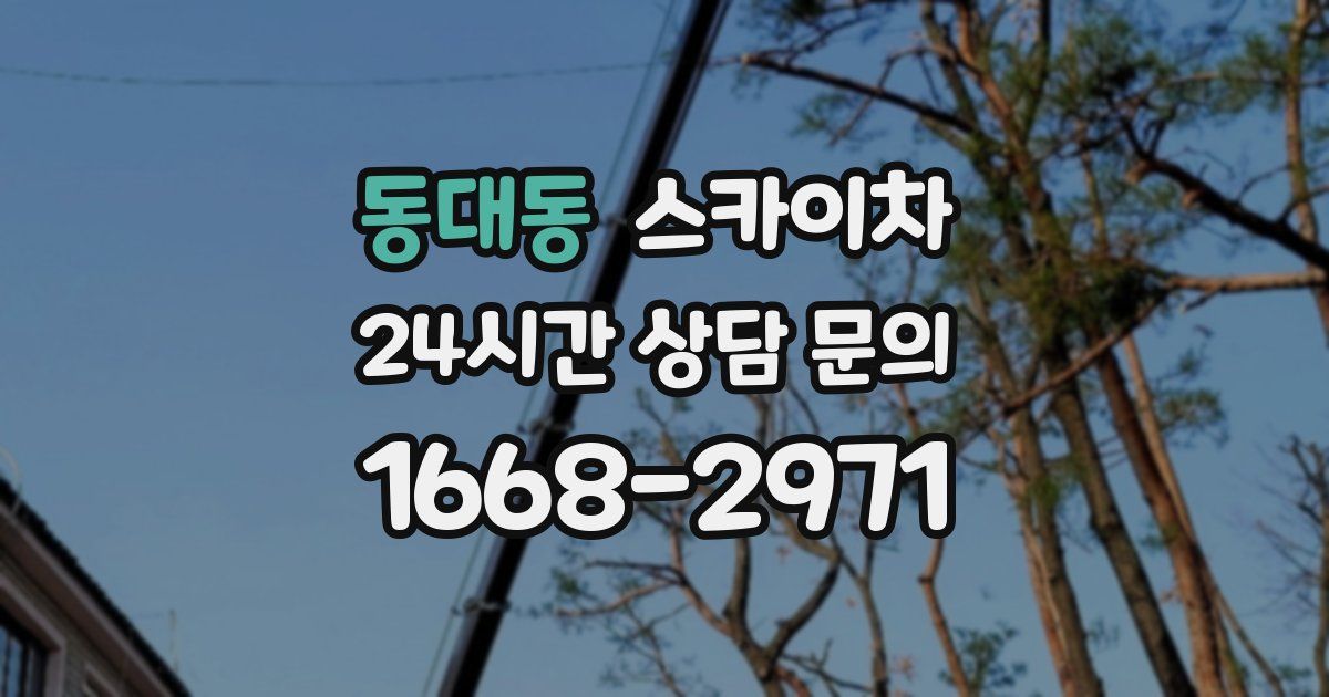동대동 스카이차