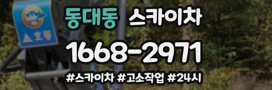 동대동 스카이차