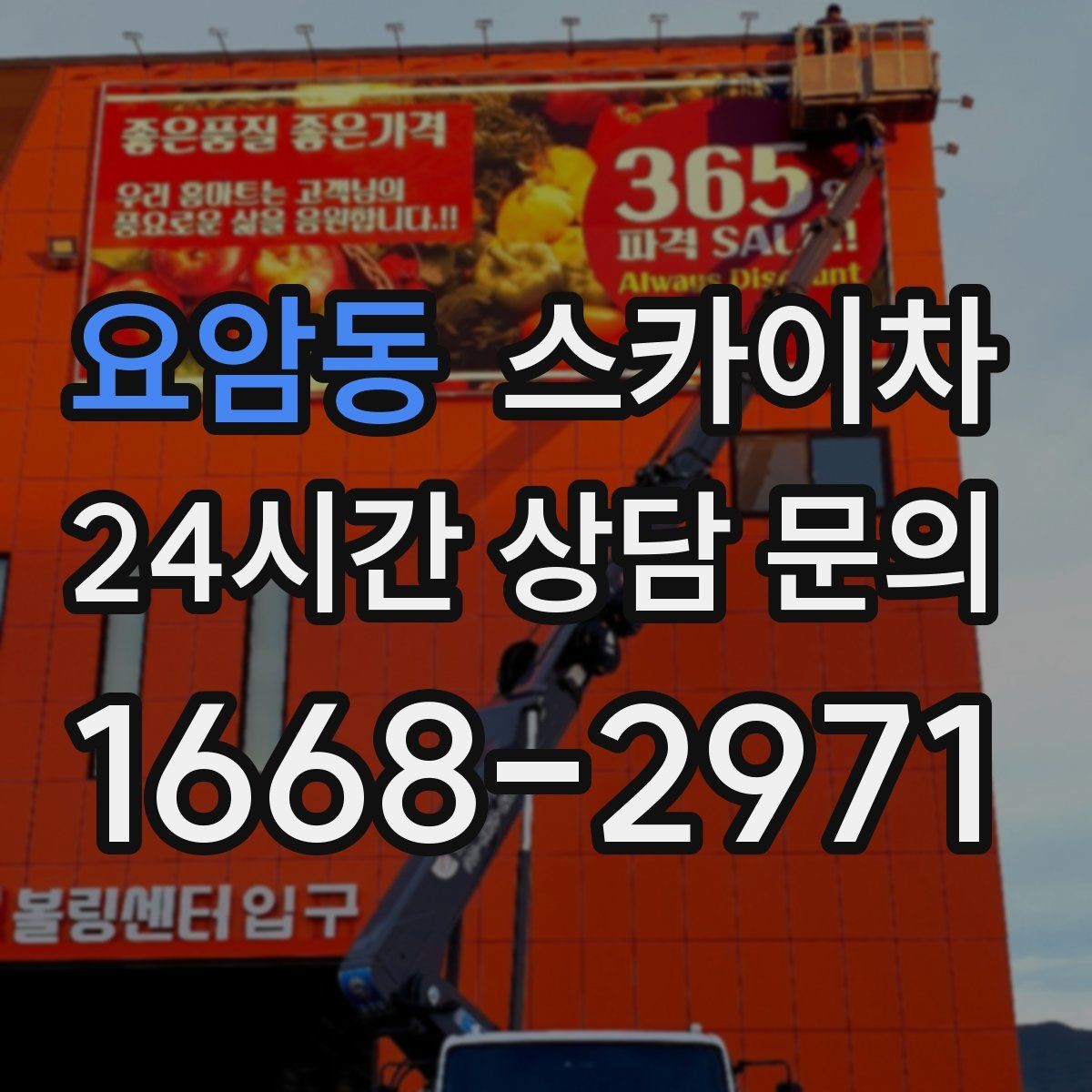 요암동 스카이차 가로수 가지치기 작업 안전하게