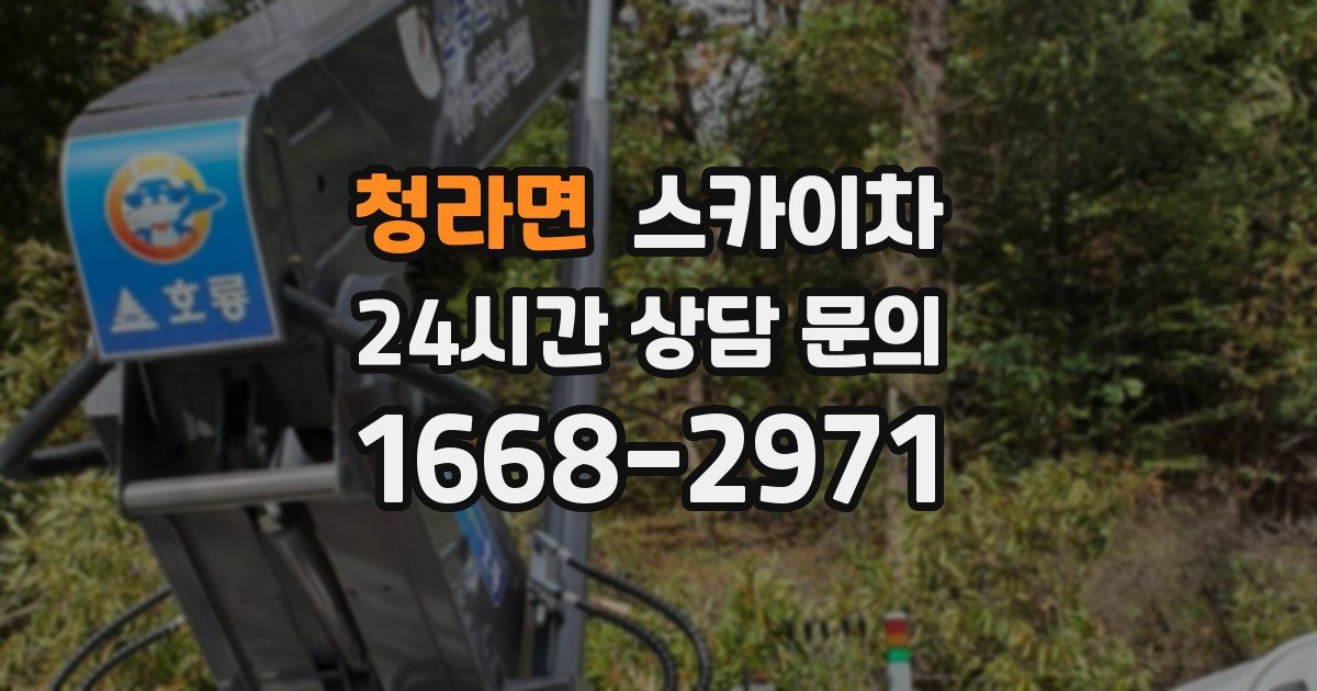 청라면 스카이차