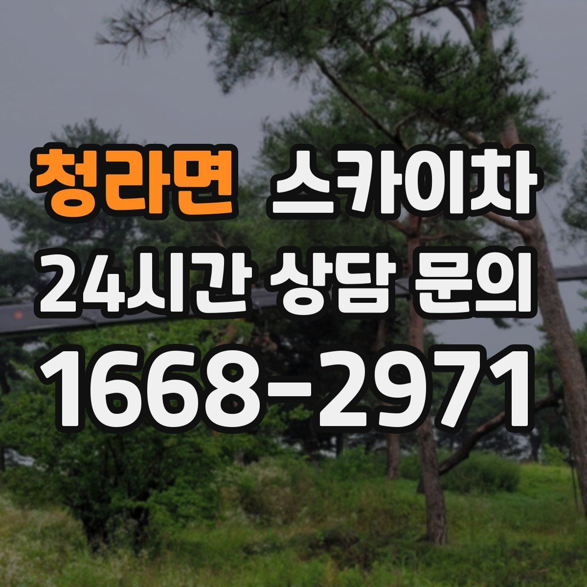 청라면 스카이차