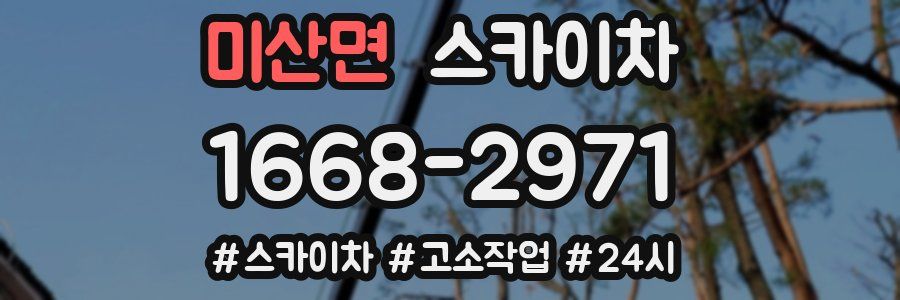 미산면 스카이차