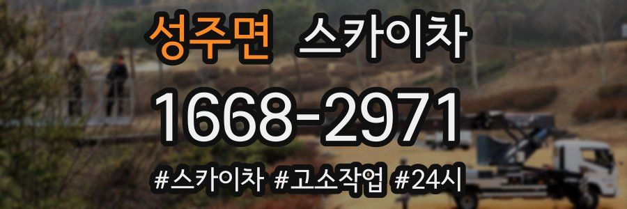 성주면 스카이차