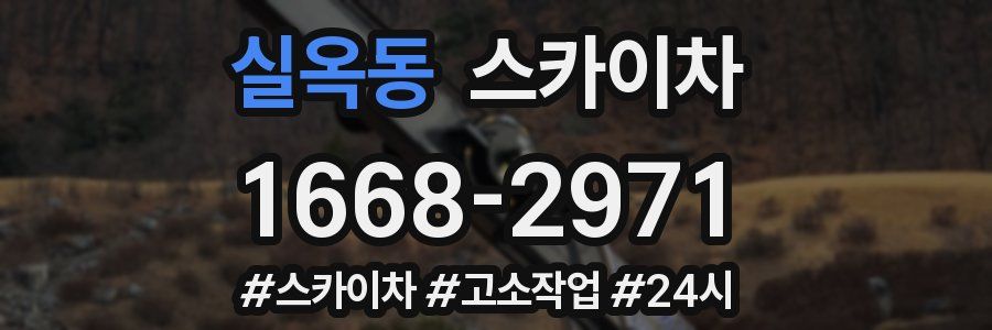 실옥동 스카이차