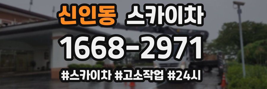 신인동 스카이차