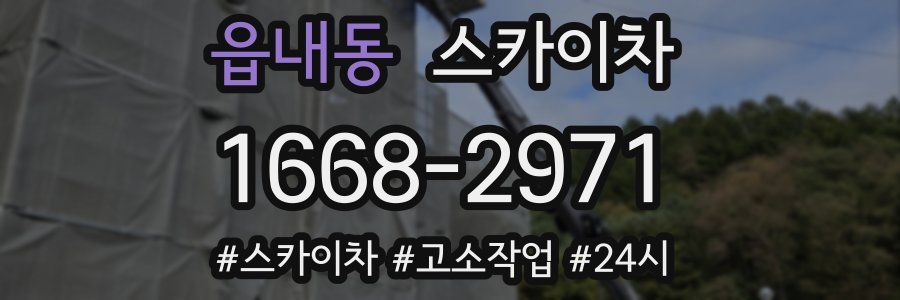 읍내동 스카이차