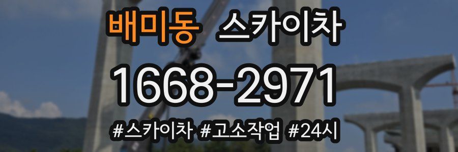 배미동 스카이차