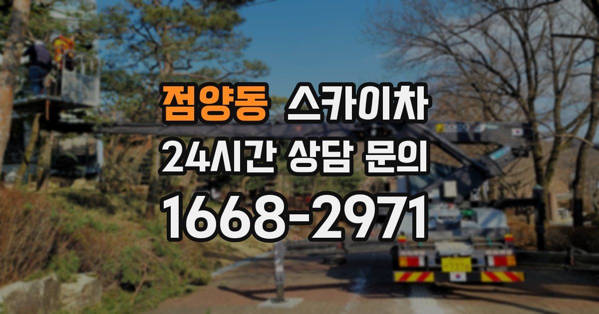 점양동 스카이차
